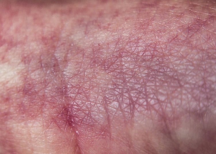 human body part