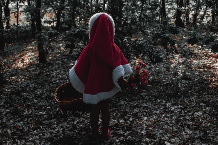 Rear view of woman walking in forest