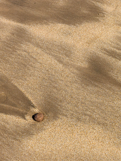 Detail of sand on the beach