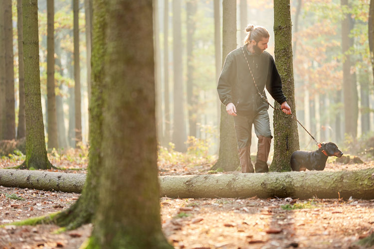 Man walking with dog in forest