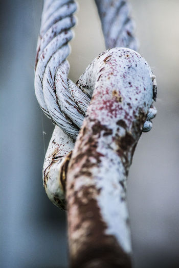 Close-up of weathered cable
