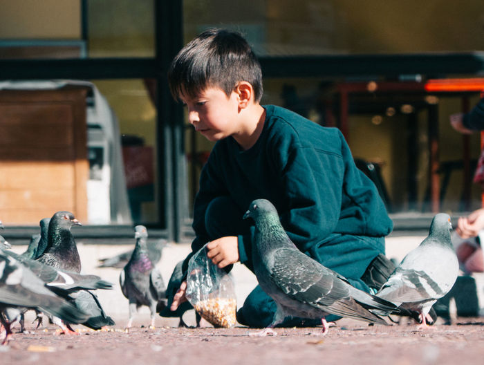 Portrait of boy feeding pigeons outdoors