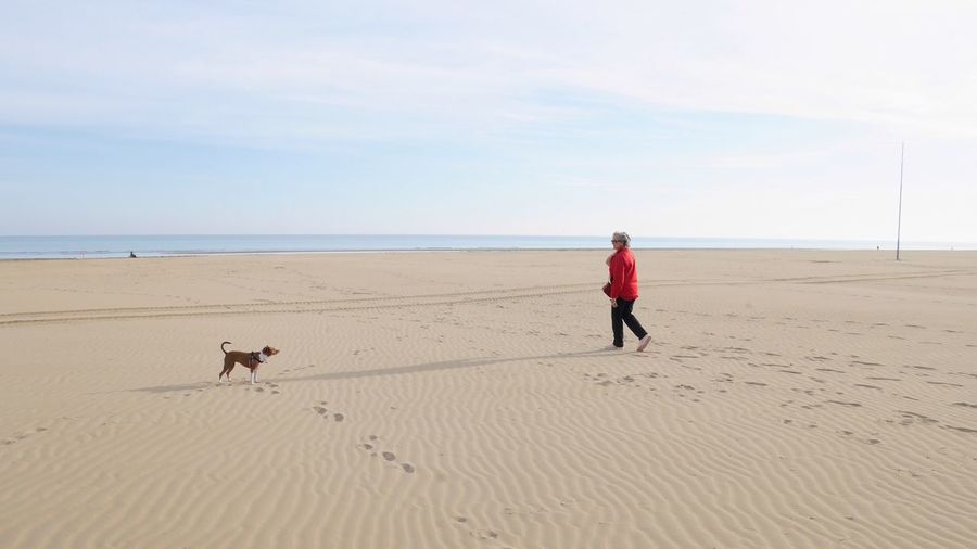 Woman with dog walking at beach against sky