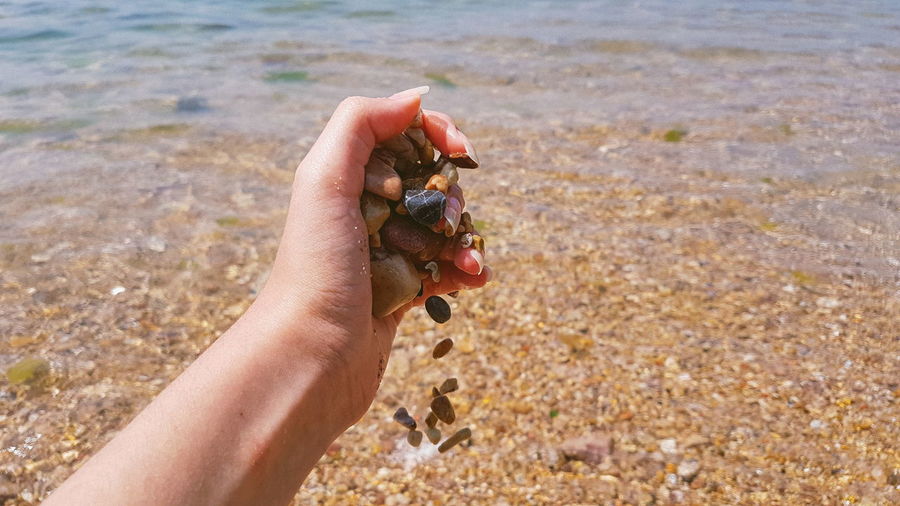 Close-up of woman hand holding shells on shore at beach