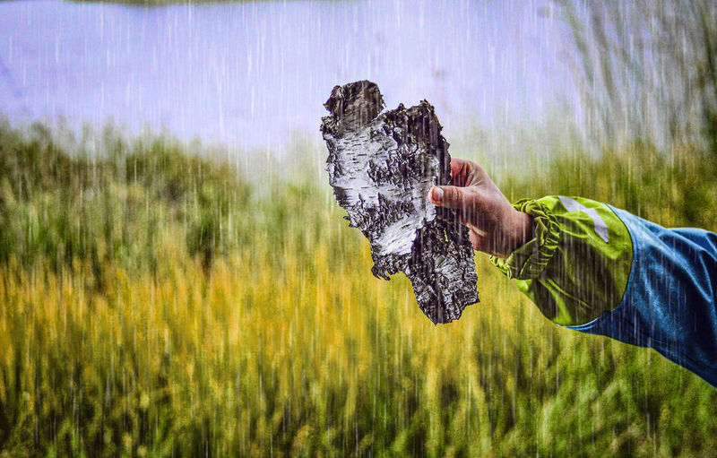 Man holding birch bark in forest by lake