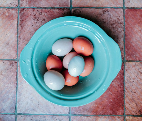 High angle view of eggs in bowl 