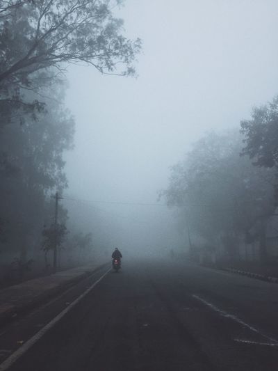 Road amidst trees against sky during foggy weather