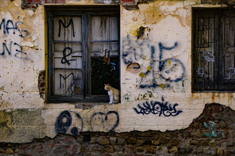 Graffiti on wall of old building