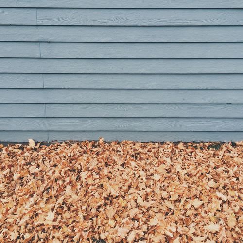 Full frame shot of wooden surface