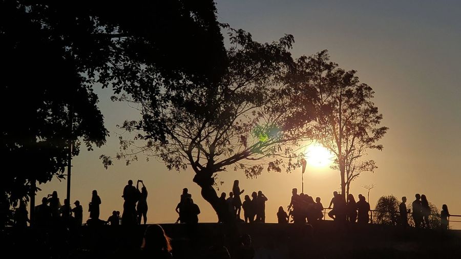 Silhouette people by tree against sky during sunset