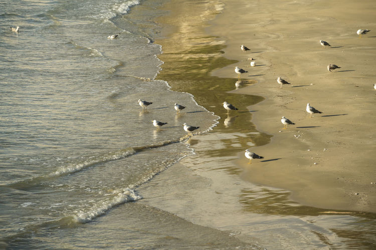 High angle view of beach