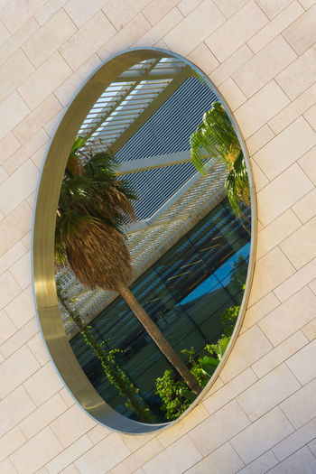 A modern building with tropical plants and palm trees inside.