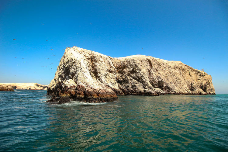 Ballestas islands, paracas, national reserve park
