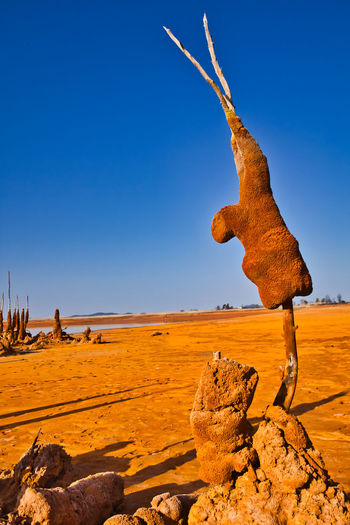 Driftwood on rock in desert against clear blue sky