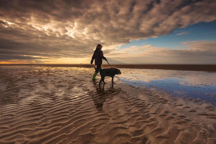 Woman walking dog on beach at sunset