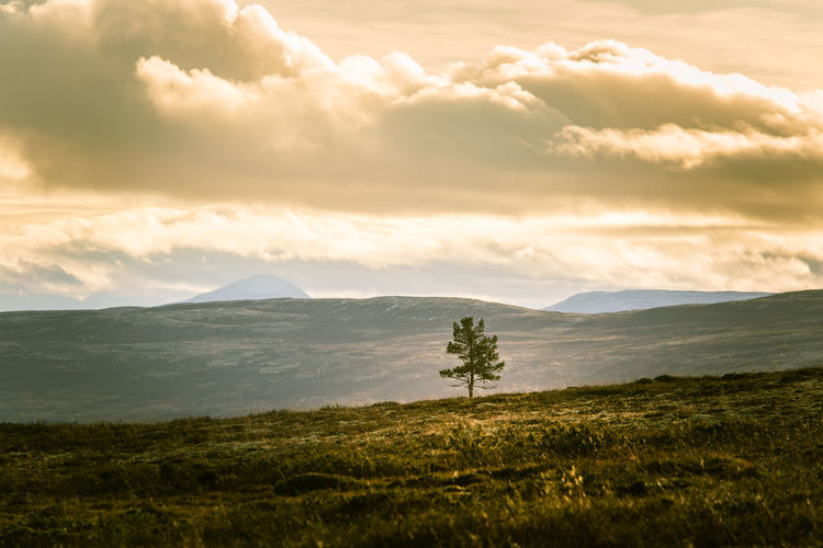 Scenic view of land and mountains against sky