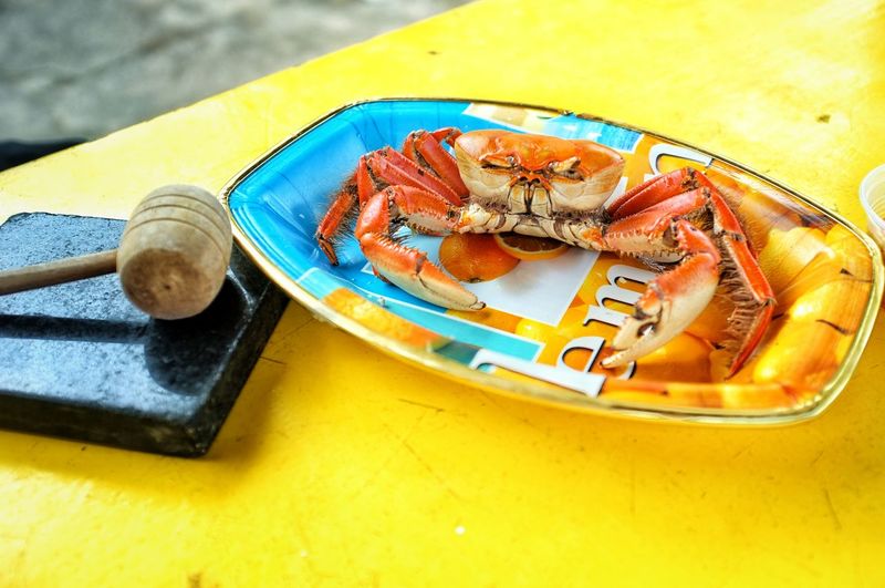 High angle view of crab in plate on yellow table