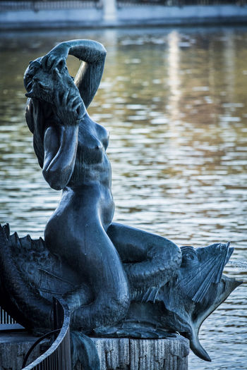 Close-up of statue by lake