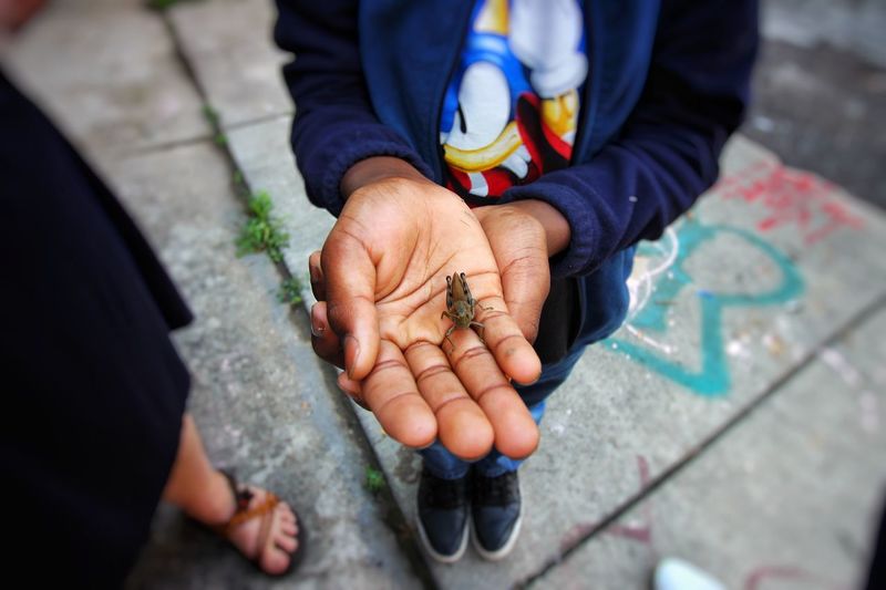 Low section of man holding insect while standing on street