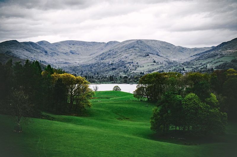Scenic view of landscape against sky