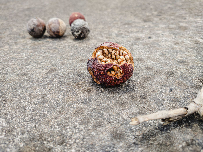 Close-up of dried fruits on the road