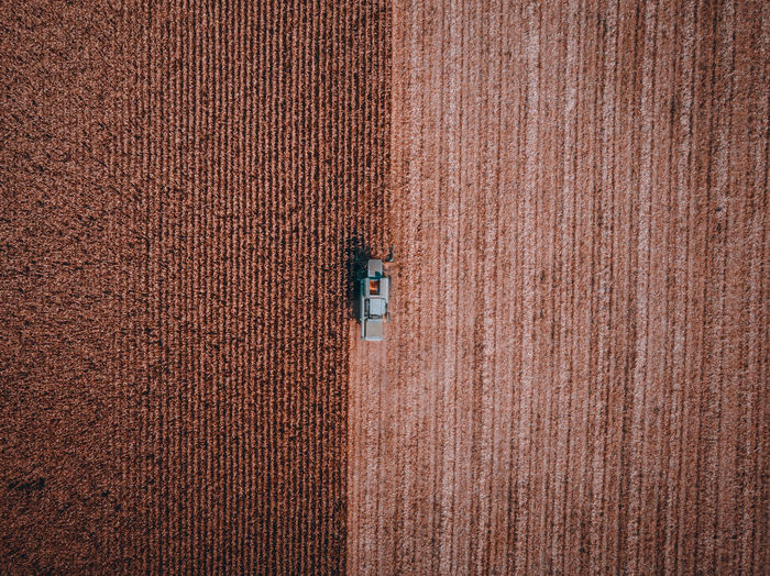 High angle view of agricultural field