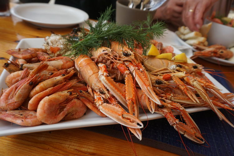 High angle view of seafood in plate