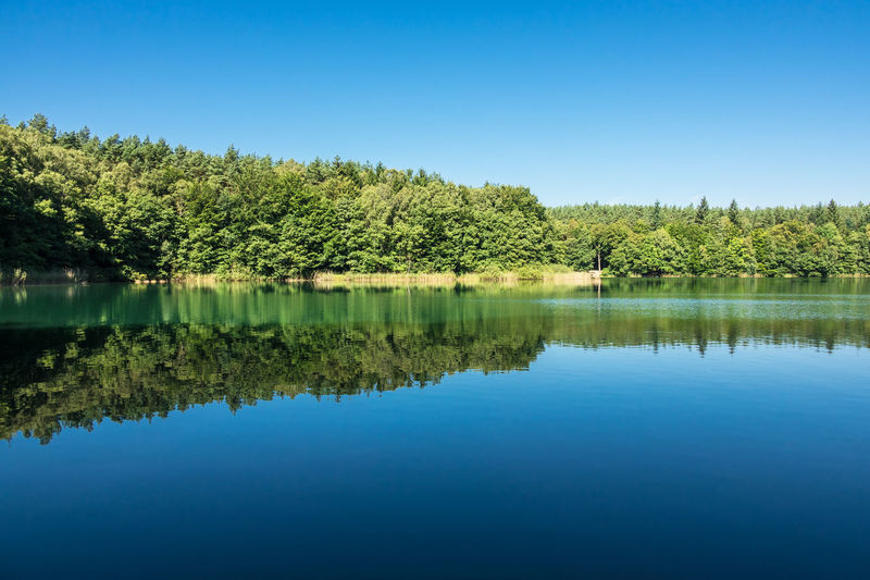 Scenic view of lake in summer