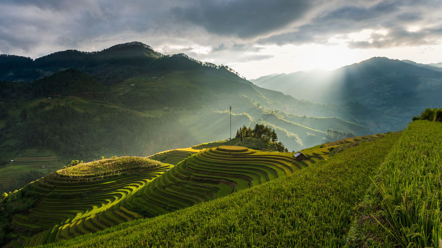 Scenic view of terraced field against cloudy sky