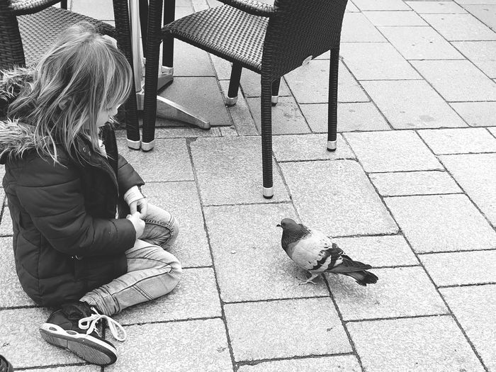 High angle view of girl feeding pigeon while sitting on footpath