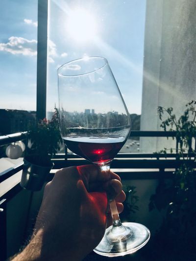 Person holding glass of wine against sky