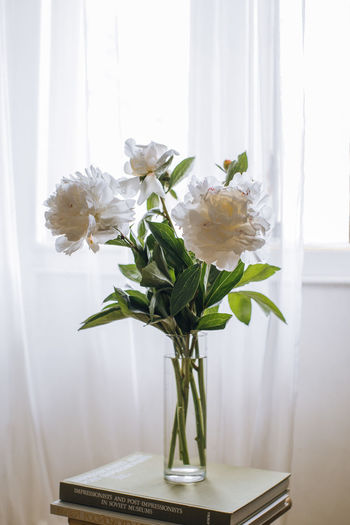 Close-up of white flowers in vase on table at home