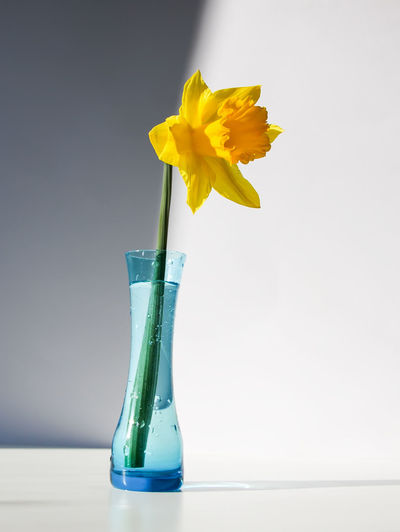 Yellow flower vase on table against white background