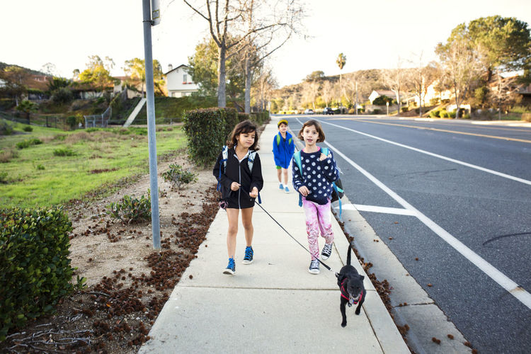 Siblings walking with dog on sidewalk