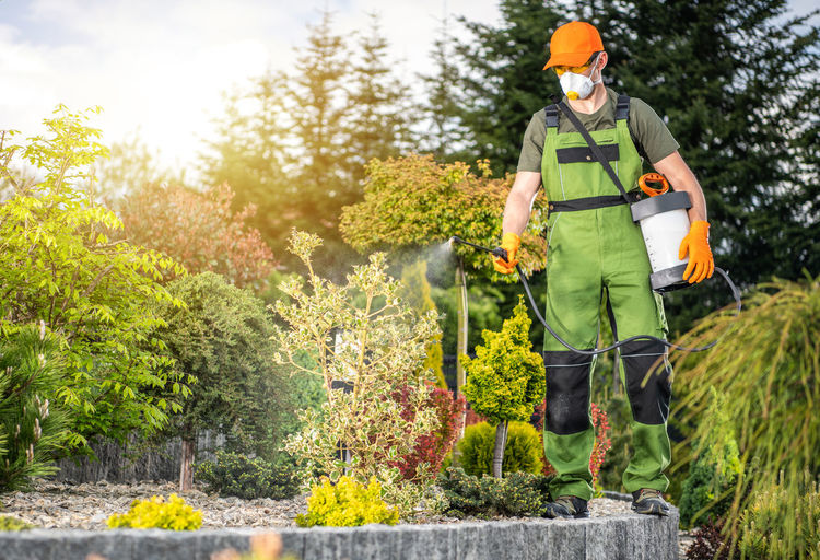 Man working on plants