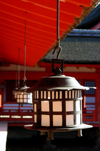 Japanese lantern 