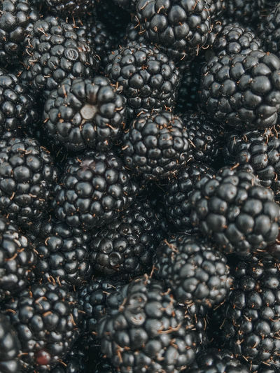 Delicious juicy blackberry
