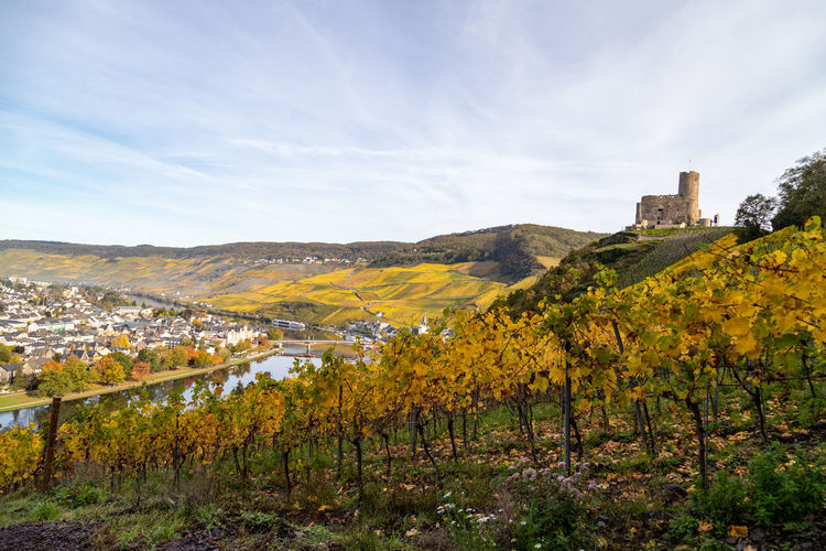 Scenic view at bernkastel-kues and the river moselle valley in autumn with multi colored landscape