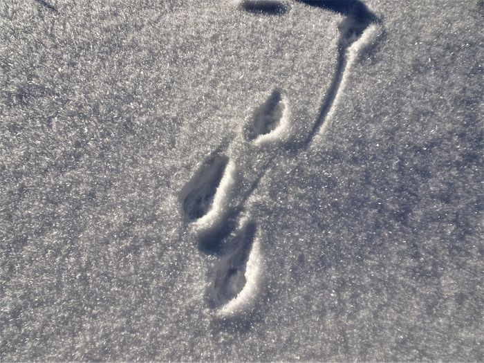 High angle view of snow on sand