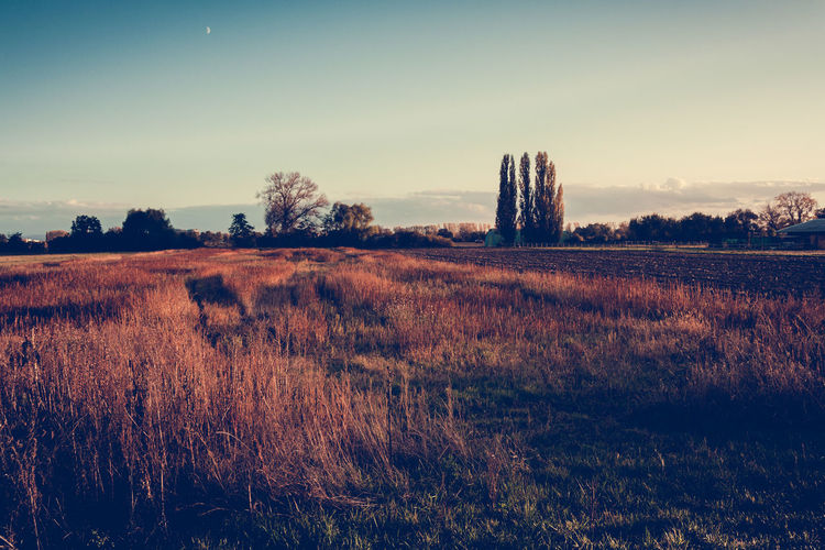 Idyllic shot of landscape against sky