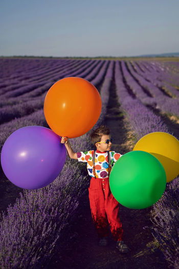 Fashionable baby boy in colorful clothes with dot holds balloon in blooming lavender field in summer