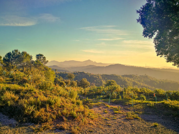Scenic view of landscape against sky during sunset