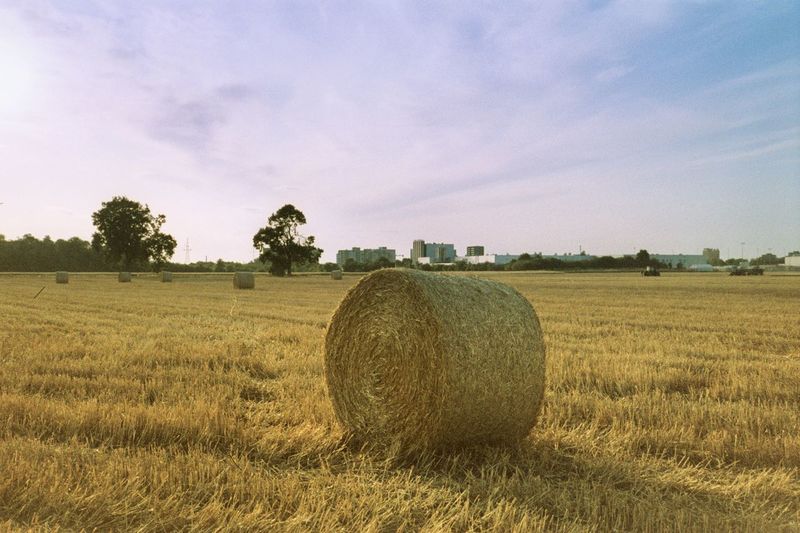 Hay bales on field against sky
