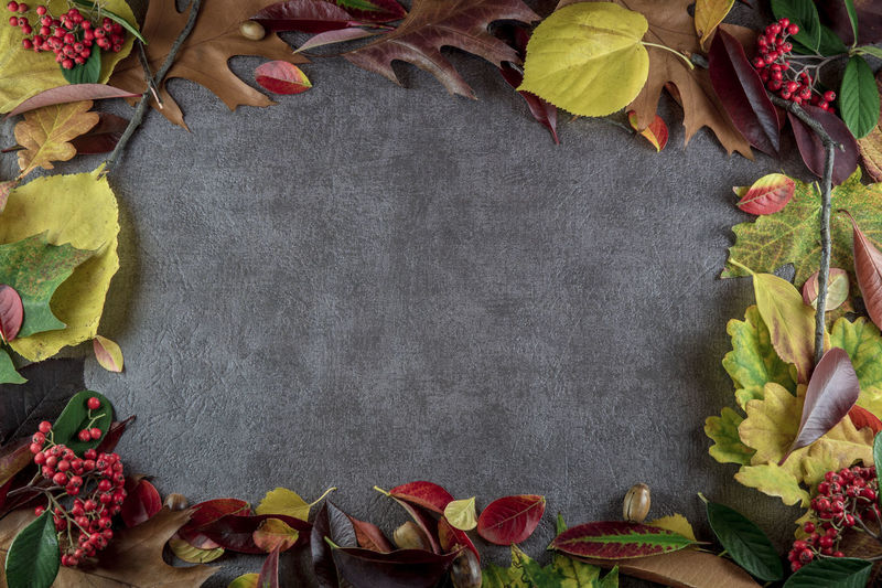 Directly above shot of autumn leaves on table