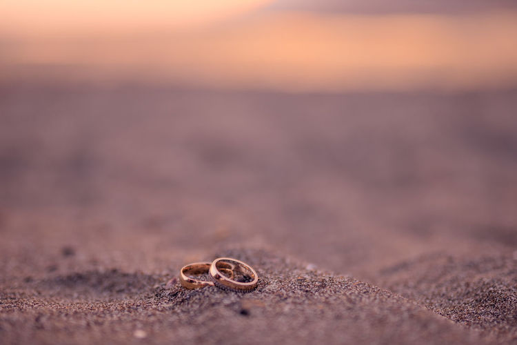 Wedding bands on the beach sunset