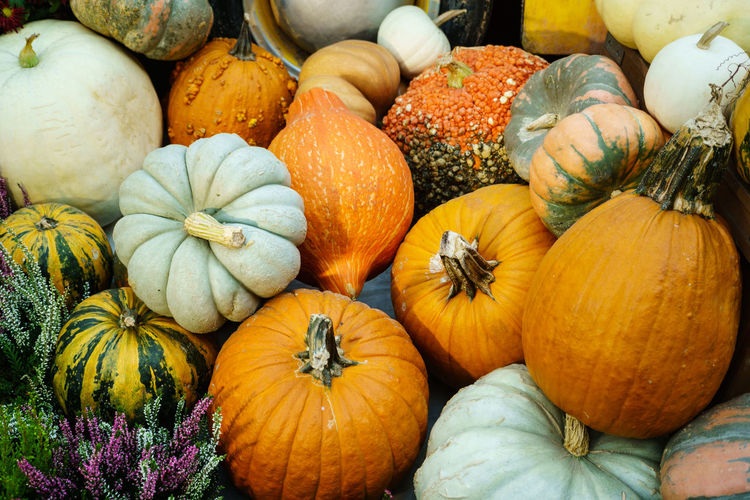Full frame shot of pumpkins in market