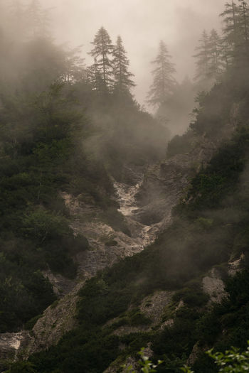 Stream at kamnik-savinja alps in foggy weather