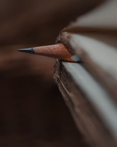 Close-up of pencil in a book
