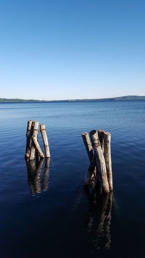 Wooden posts in lake against clear blue sky