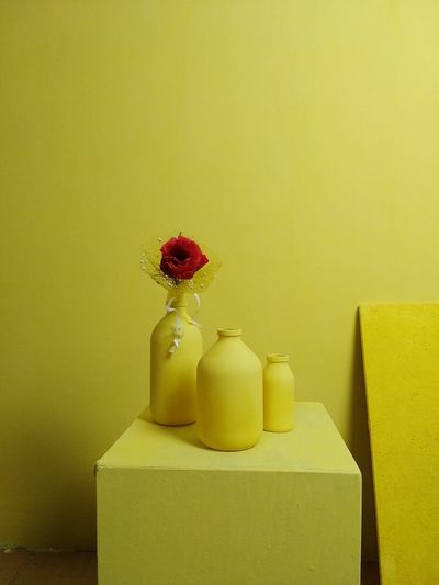 Close-up of yellow flower in vase against wall